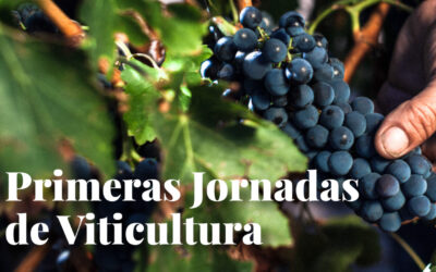 Fundación Caja Rural de Aragón colabora en las Primeras Jornadas de Viticultura en Cariñena