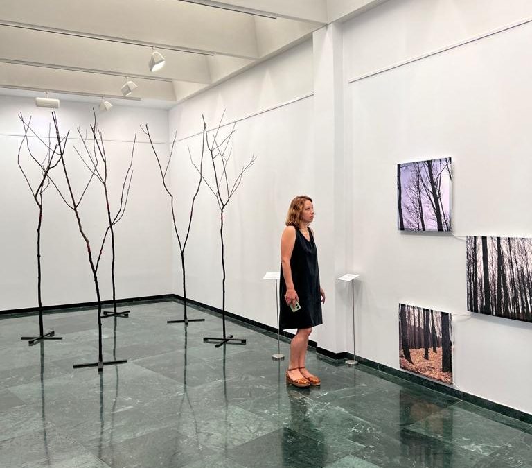 Prado R. Vielsa invita a la reflexión con la exposición “Límite de fuego”