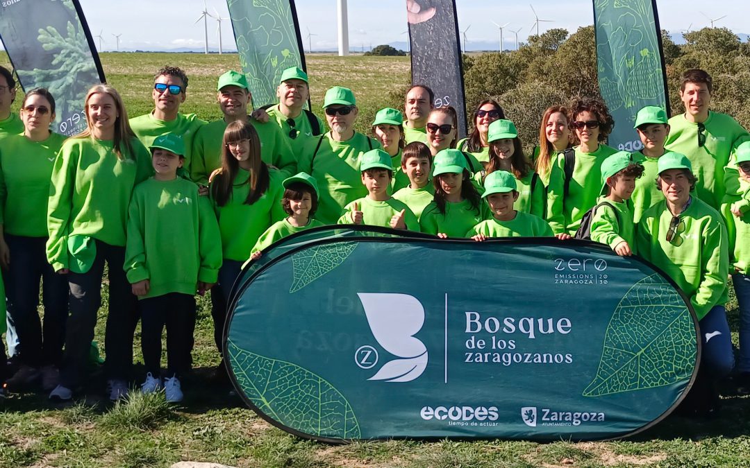 Voluntarios de la Fundación Caja Rural de Aragón participan en el “El Bosque de los Zaragozanos”