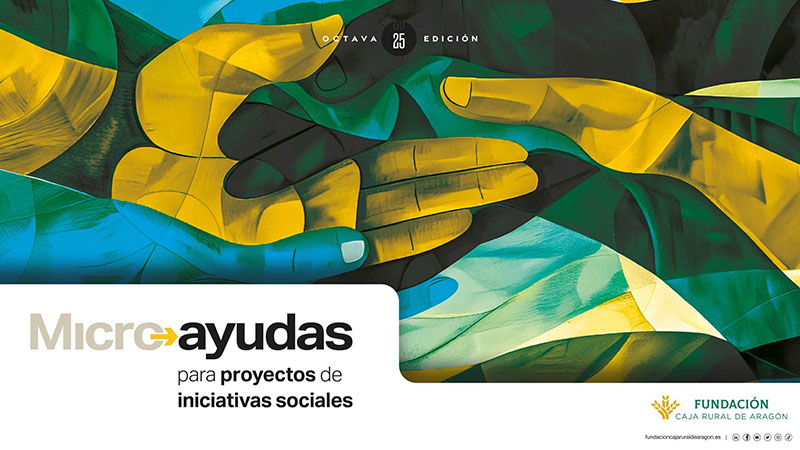 VIII Convocatoria de Micro Ayudas 2025