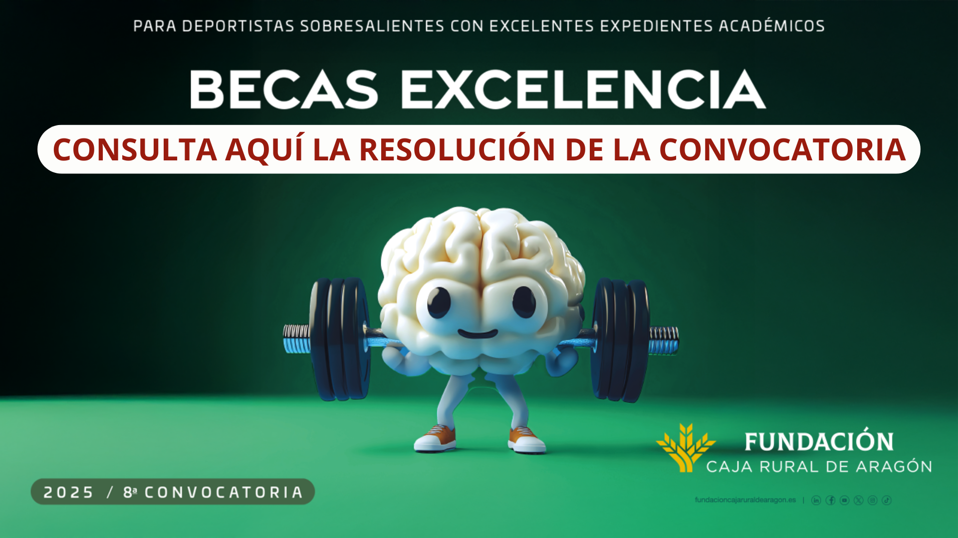 resolucion becas VIII Convocatoria de Micro Ayudas 2025